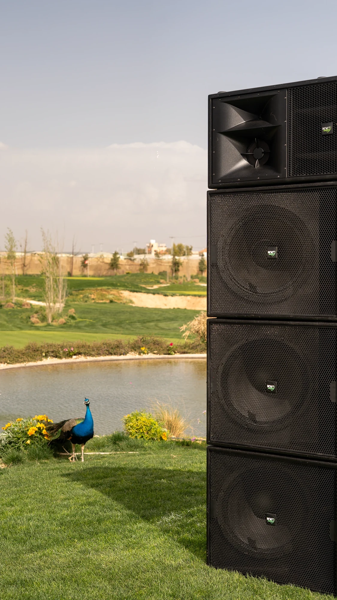 KV2 Audio — photograph 8