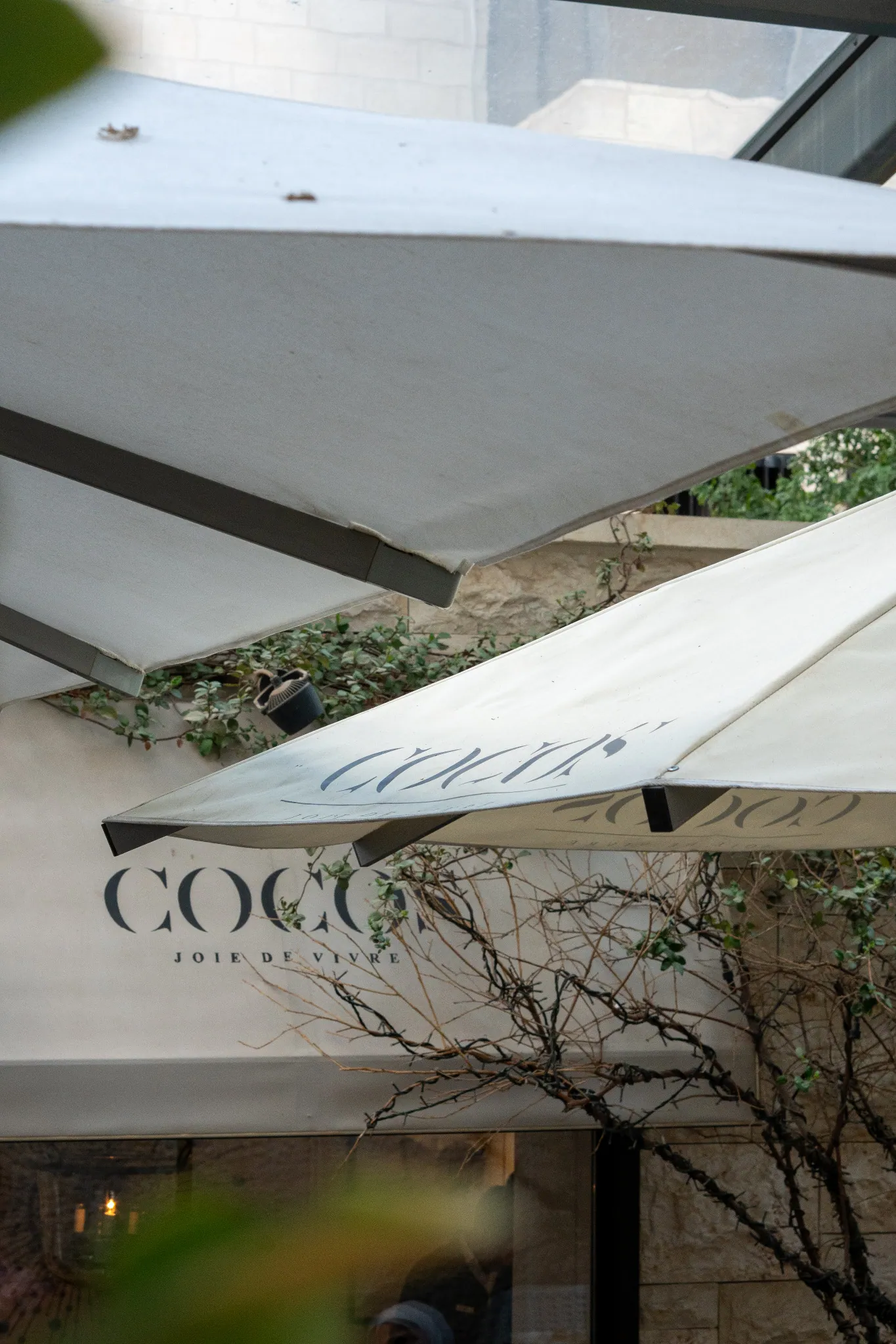 COCO'S, image 7